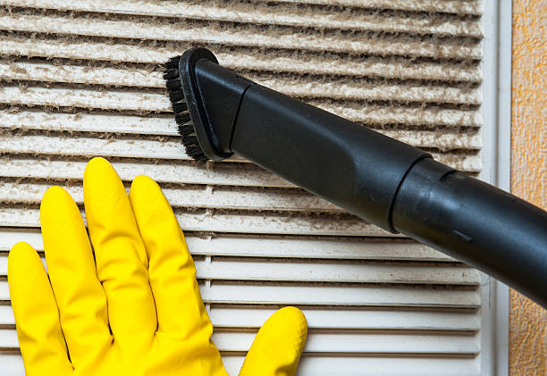 Best Air Duct Mold Removal  in Braidwood, IL